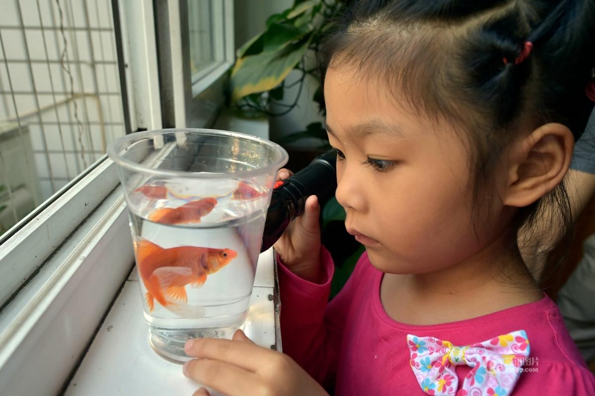 Four-year-old girl picks the designated gold fish among the 30 in 9 mins