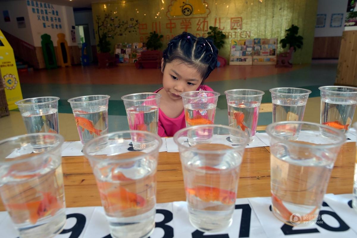 Four-year-old girl picks the designated gold fish among the 30 in 9 mins