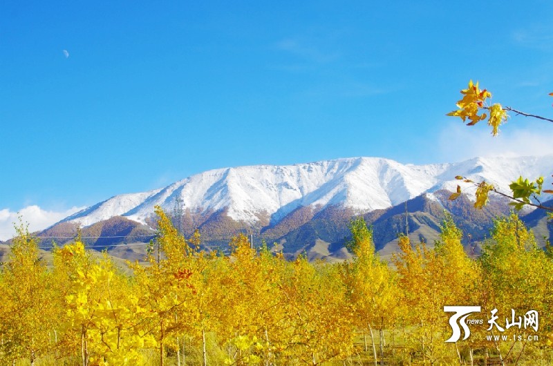 In pics: Impressive Autumn Balikun, Xinjiang