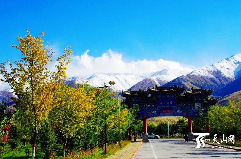 In pics: Impressive Autumn Balikun, Xinjiang