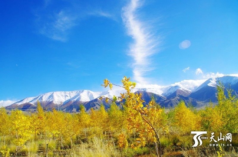 In pics: Impressive Autumn Balikun, Xinjiang