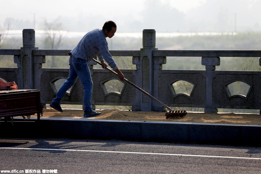 Farmers dry paddy on highway in World Heritage Site Hong Village