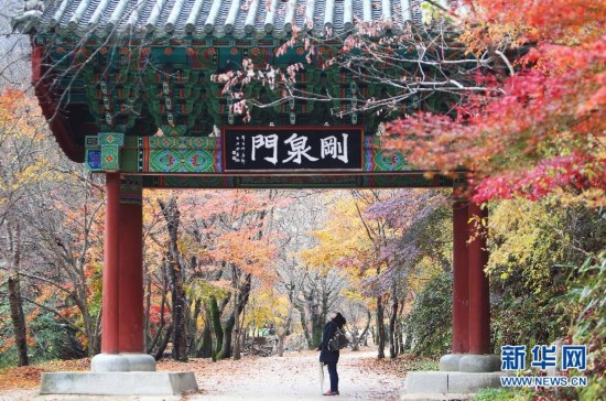 Travel for the intoxicating autumn scenery