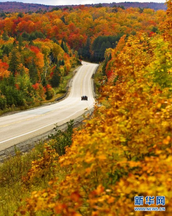 Travel for the intoxicating autumn scenery