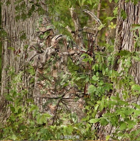 Stunning camouflage challenges your eyes
