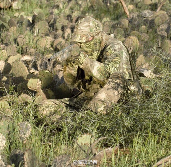 Stunning camouflage challenges your eyes