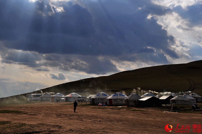 Picturesque scenery makes Bashang Grassland worth revisiting