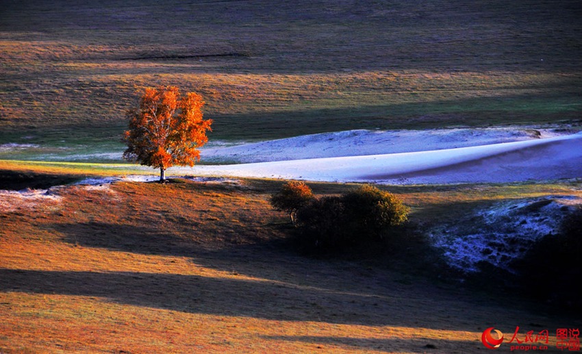 Picturesque scenery makes Bashang Grassland worth revisiting