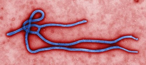 Ebola vaccine developed by China gets permission for overseas clinical trial