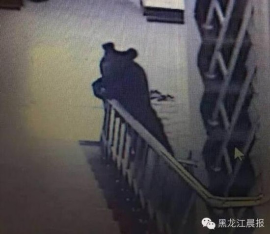 Police shoot bear in NE China middle school