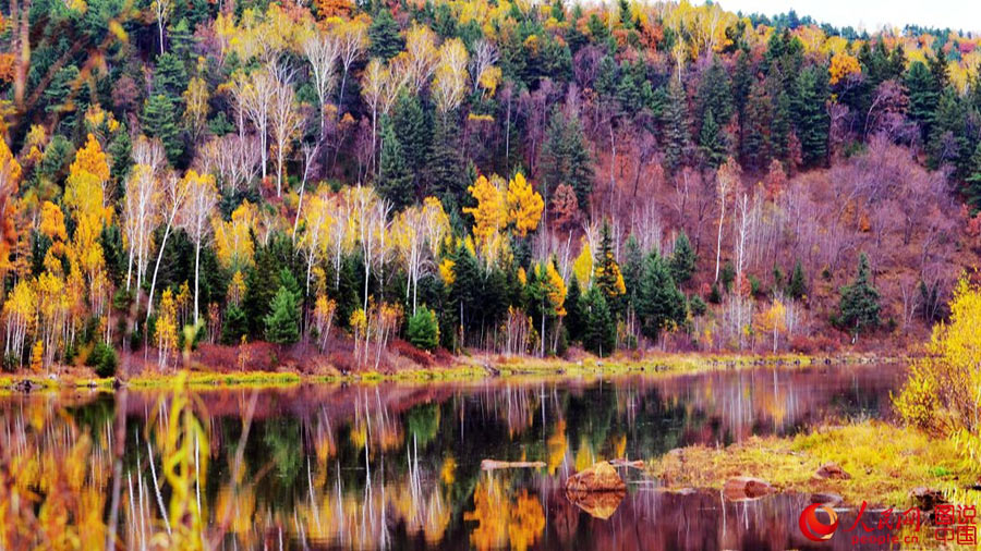 Colorful autumn scenery of Wuhua Mountain