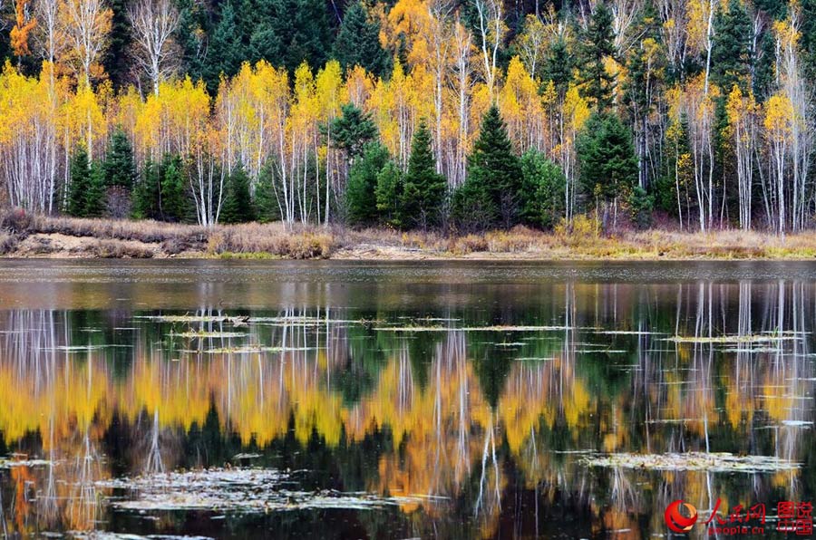 Colorful autumn scenery of Wuhua Mountain