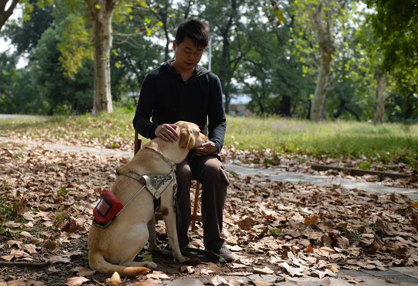 ‘You are my eyes’ - Guide dogs badly needed in China