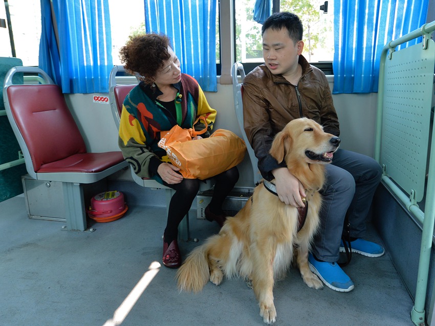 ‘You are my eyes’ - Guide dogs badly needed in China
