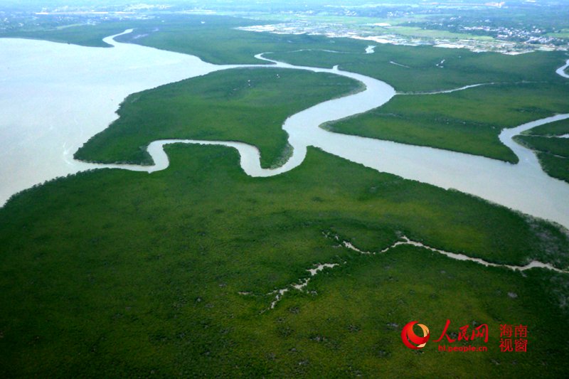 In photos: China's largest mangrove reserve