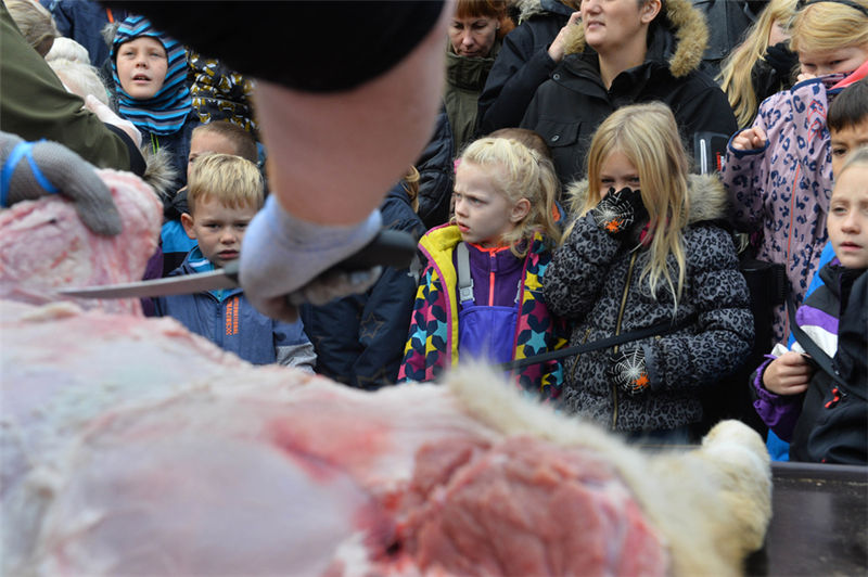 Danish zoo staged a controversial dissection of a lion in front of a crowd of schoolchildren 