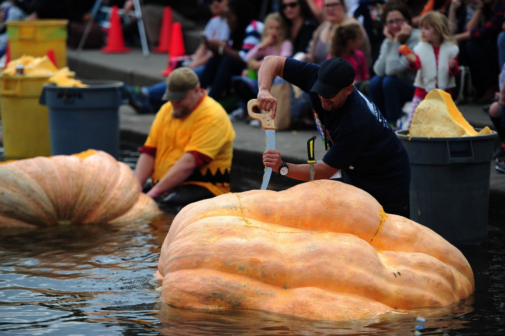 People paddle pumpkins in West Coast Giant Pumpkin Regatta 