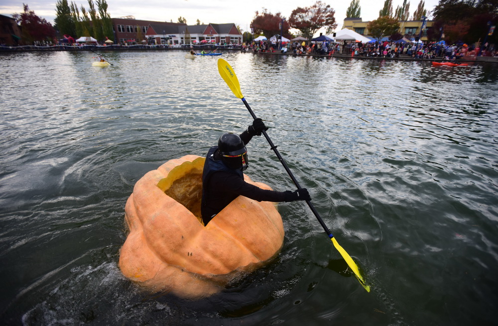 People paddle pumpkins in West Coast Giant Pumpkin Regatta 