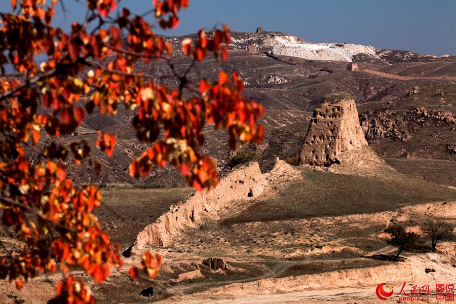 The golden autumn of N. China