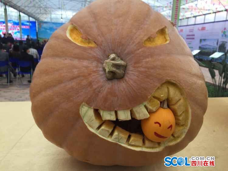 Space pumpkins shown in Sichuan