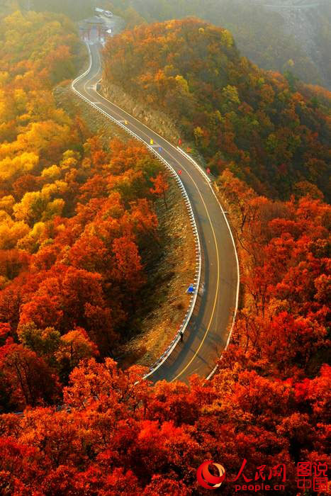 Picturesque autumn scenery in N China 