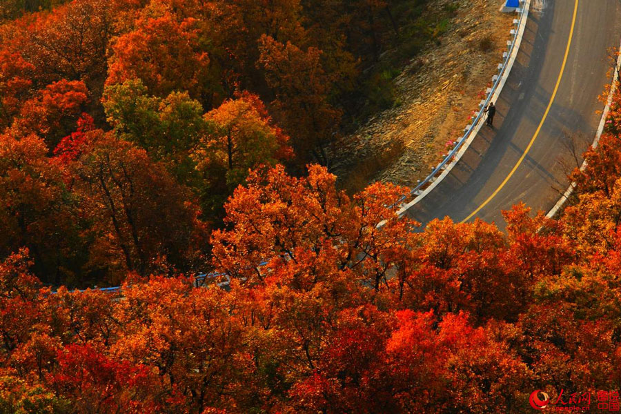 Picturesque autumn scenery in N China (7) - People's Daily Online