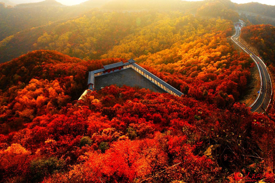 Picturesque autumn scenery in N China 