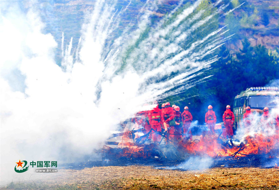 Brave Chinese People's Armed Police forest unit