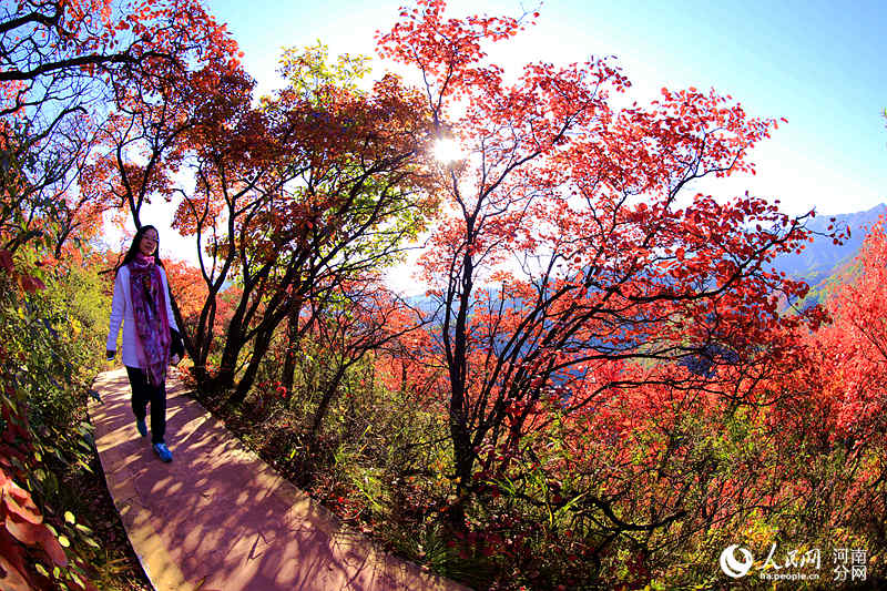Trees burst into color in C China