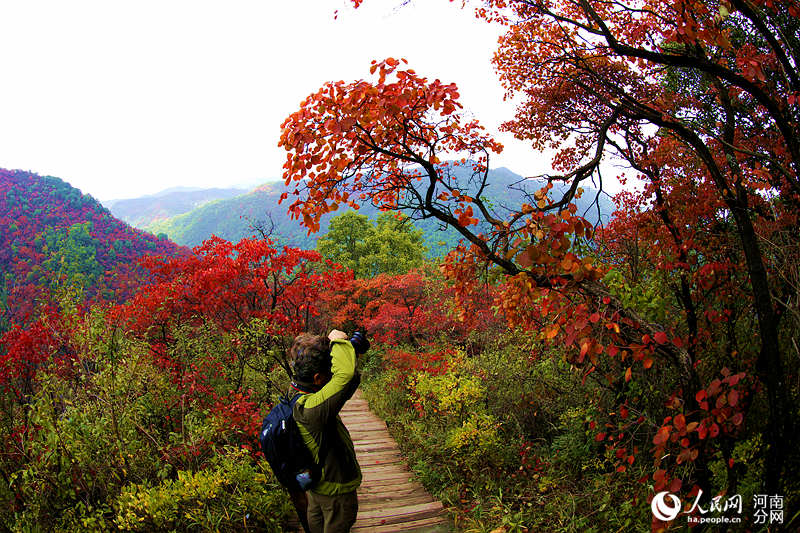 Trees burst into color in C China