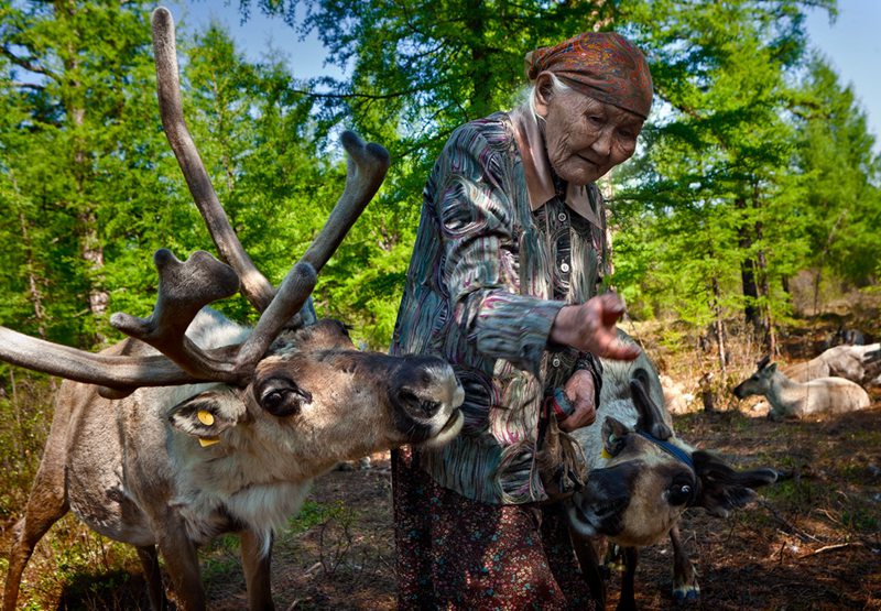 Photo story: A mysterious minority group which raises reindeers