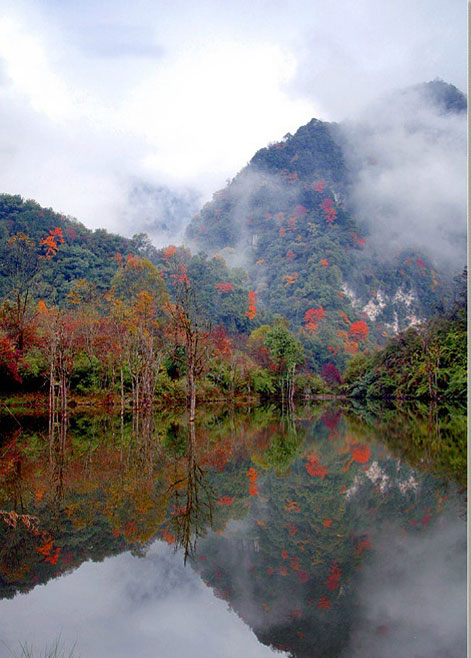 Picturesque Labahe natural reserve