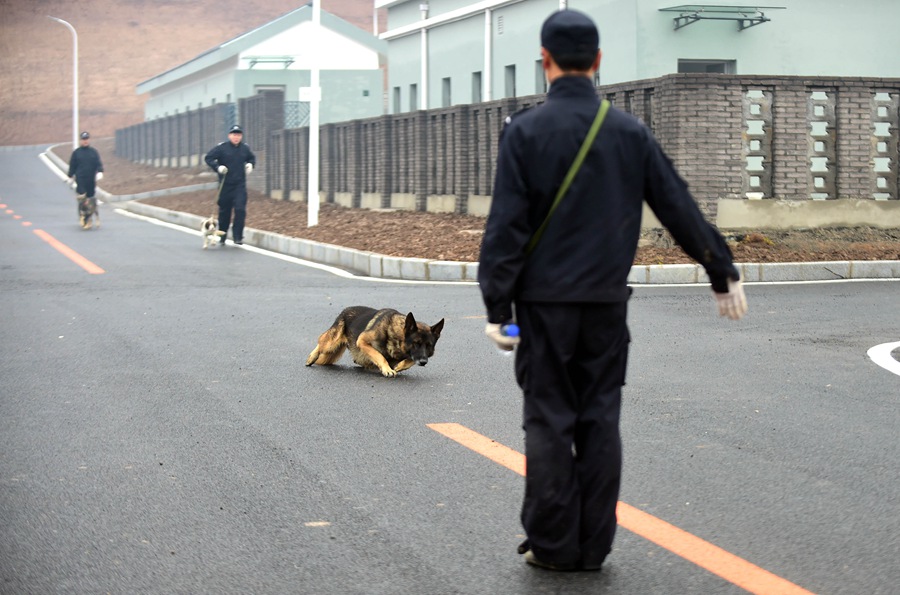 Police dog training base put into use in Shenyang