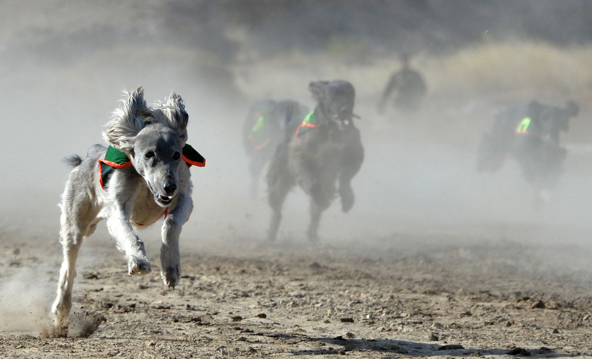 Kyrgyzstan's ancient hunting festival