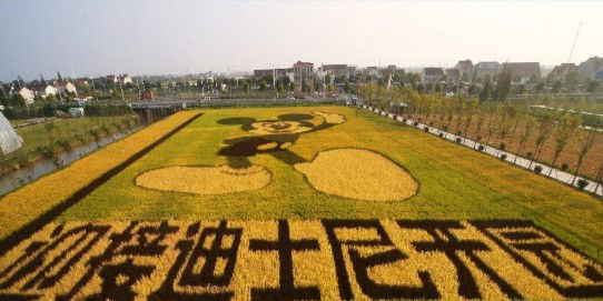 Gigantic Mickey Mouse celebrates the arrival of Shanghai Disneyland Park 