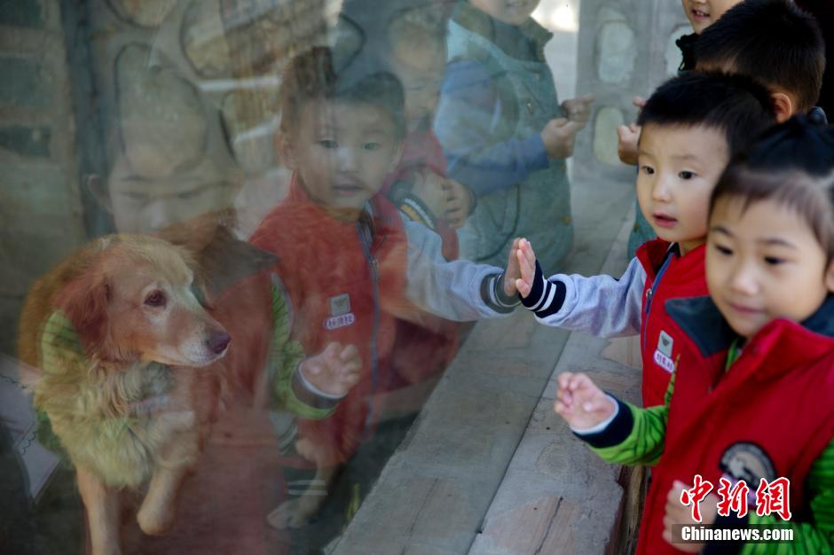 Kindergarten in Beijing runs a zoo