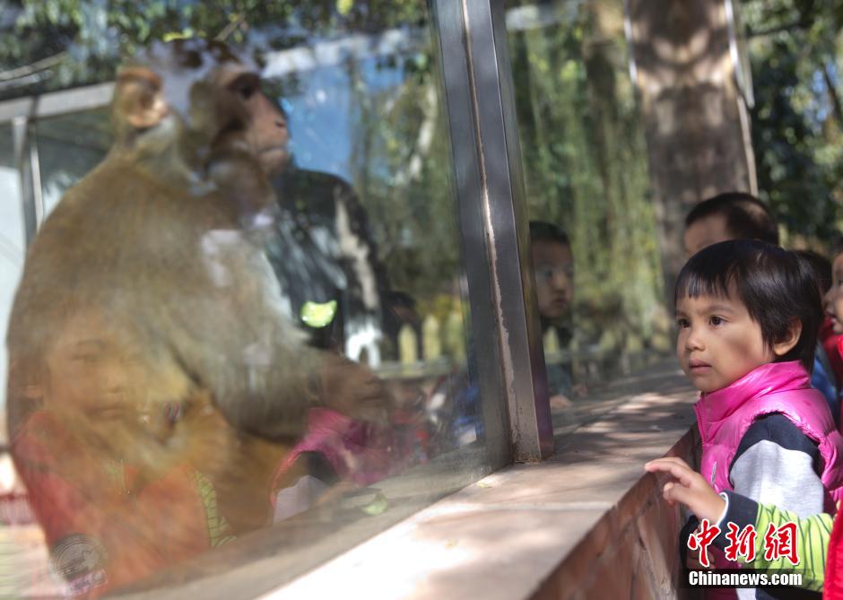 Kindergarten in Beijing runs a zoo