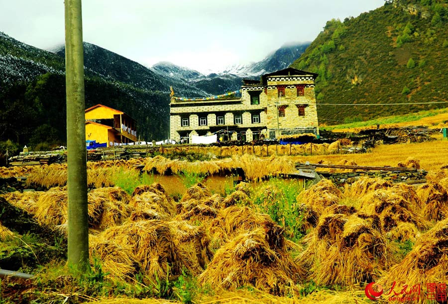 Daocheng Yading: a land of pure beauty