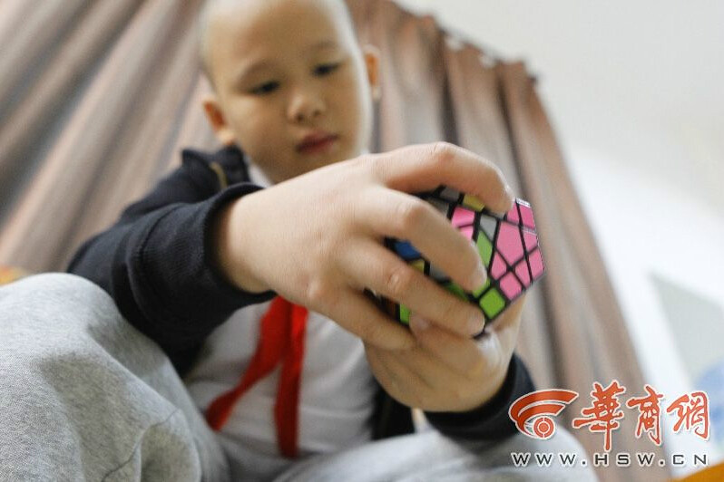 8-year-old boy has IQ of 146