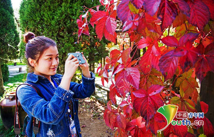 Splendid autumn scenery in China