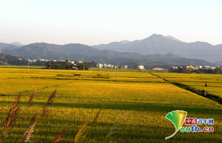 Splendid autumn scenery in China