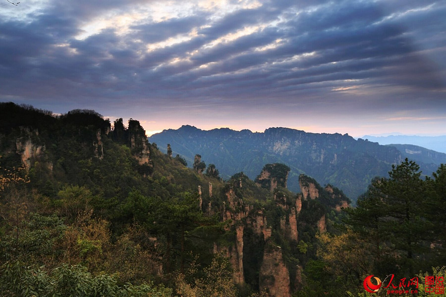 Sea of clouds in Zhangjiajie