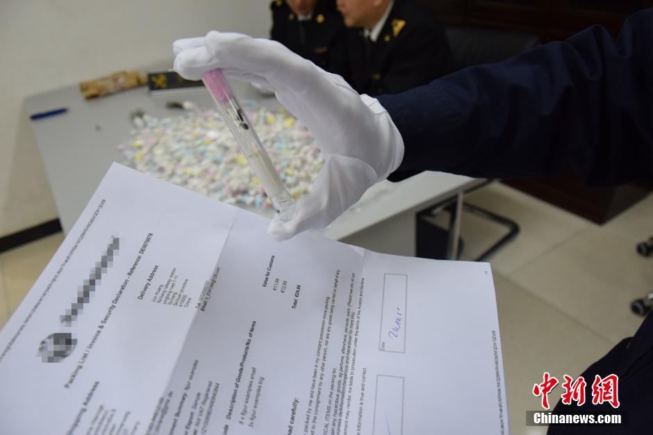 Sichuan Customs intercept 800 live ants 