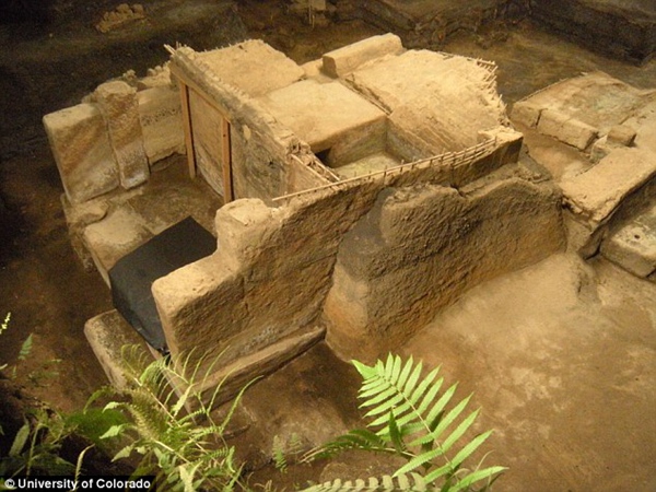 The 'Pompeii of the New World': Ceren village in El Salvador perfectly preserved by ash
