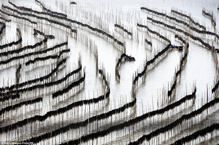 Breathtaking photos of China reveal its natural and diverse beauty