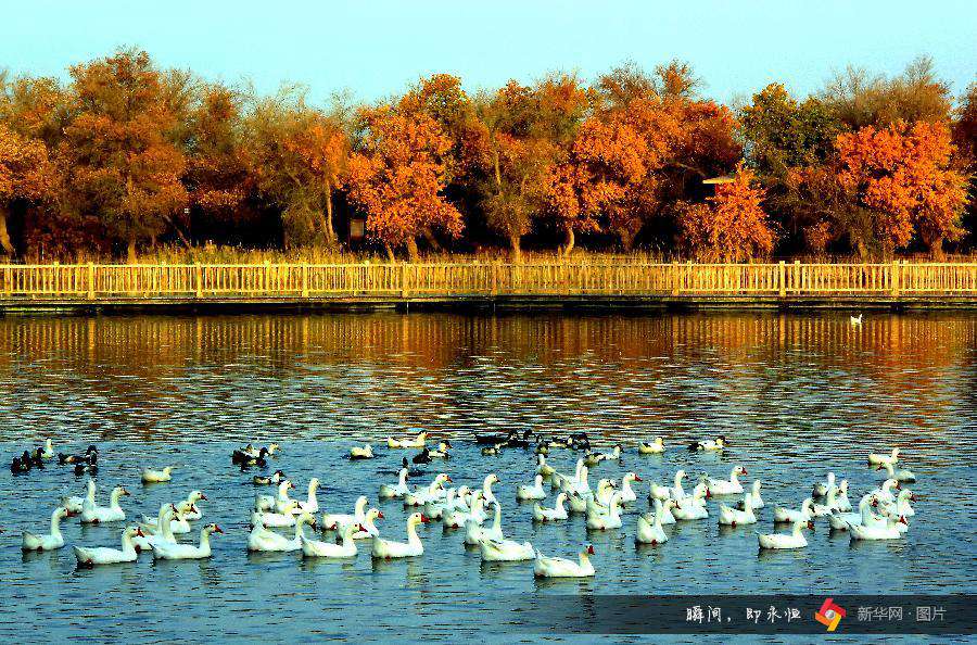 Autumn scenery around China