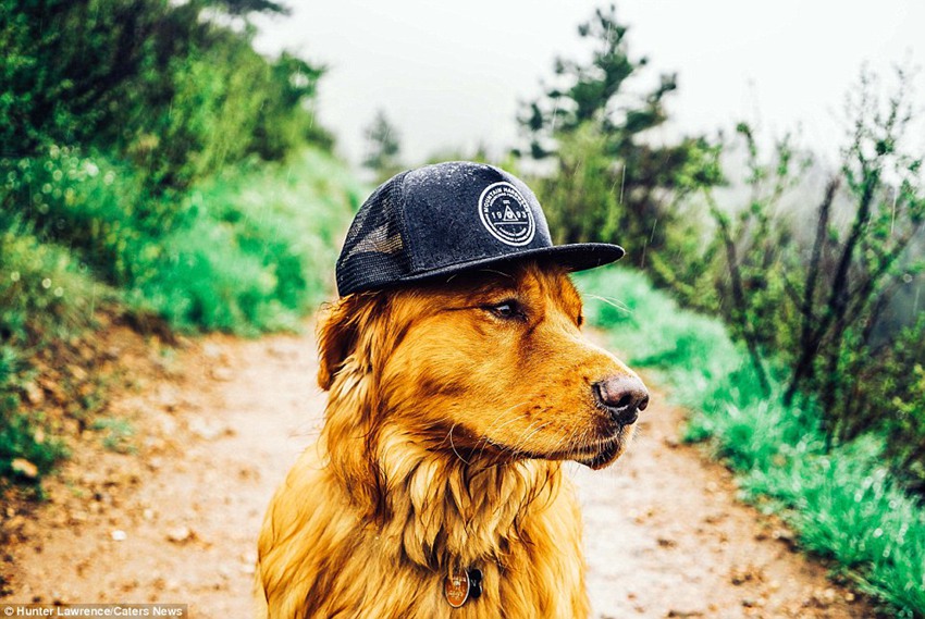 Meet the dog Aspen who puts your outdoor travel adventures to shame