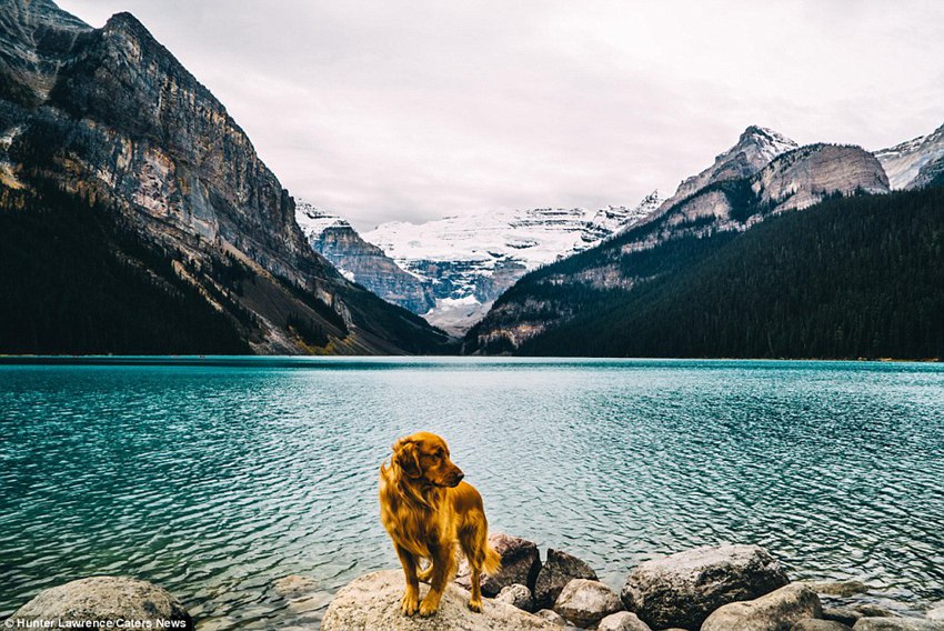 Meet the dog Aspen who puts your outdoor travel adventures to shame