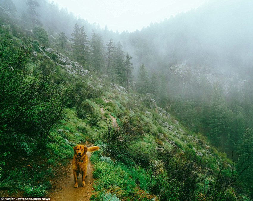 Meet the dog Aspen who puts your outdoor travel adventures to shame