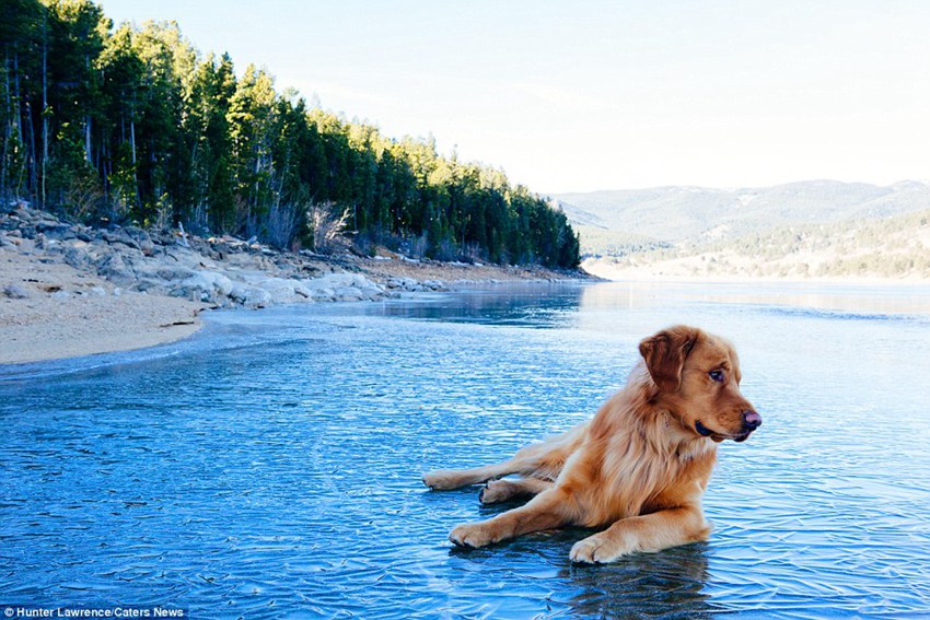 Meet the dog Aspen who puts your outdoor travel adventures to shame